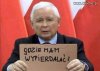 Kto Go przygarnie ?