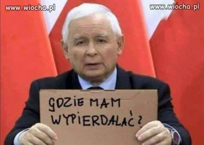 Kto Go przygarnie ?