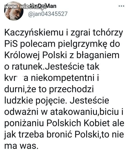 Pis to taki pies York