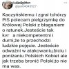 Pis to taki pies York