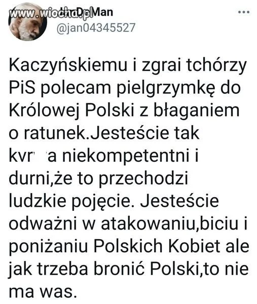 Pis to taki pies York