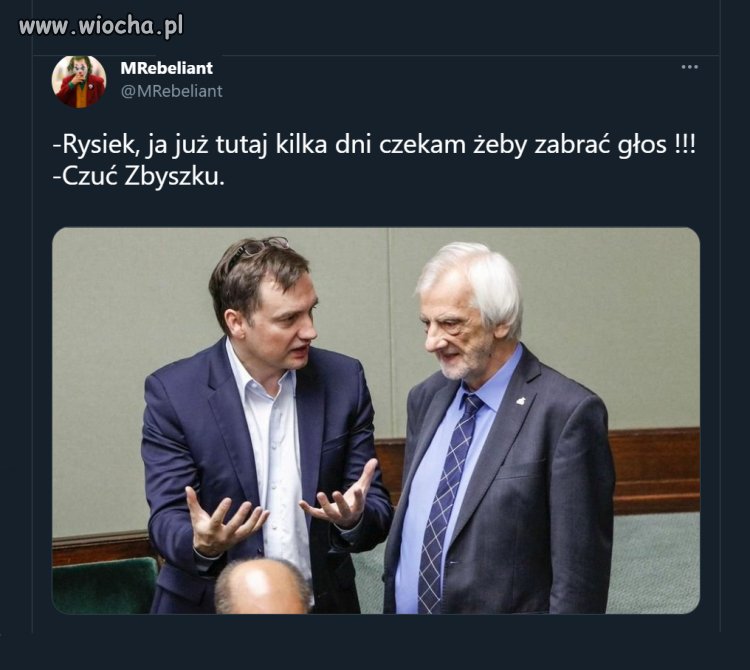 Cierpliwość jest cnotą