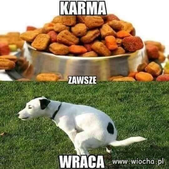Karma wraca