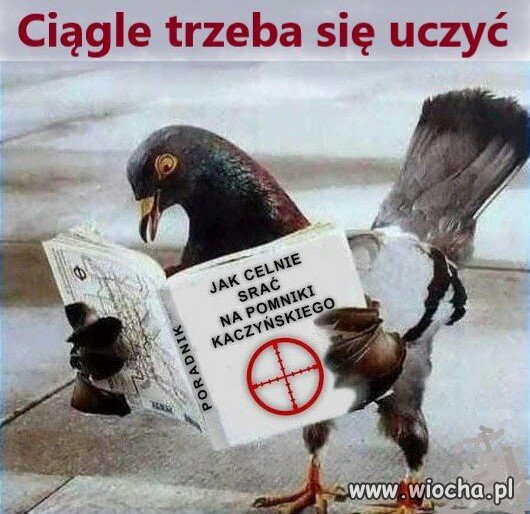 Człowiek uczy się całe życie
