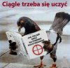 Człowiek uczy się całe życie