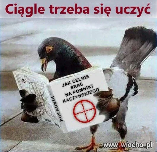 Człowiek uczy się całe życie