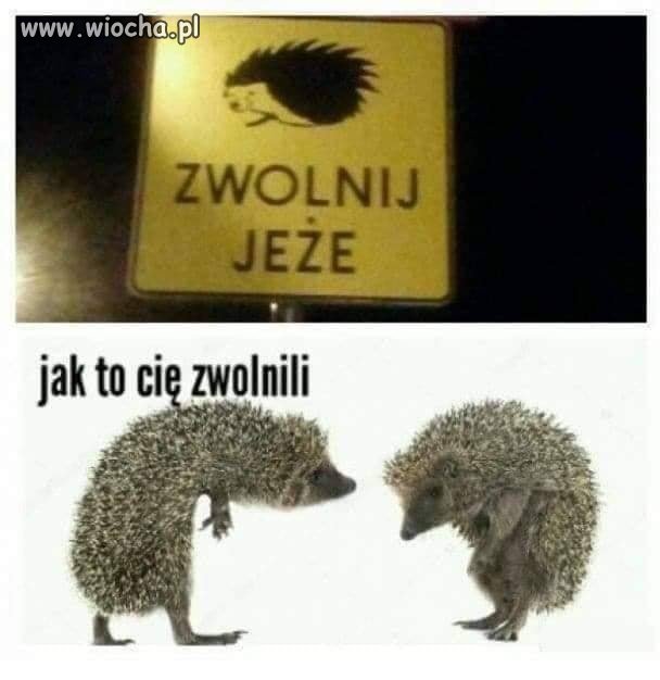 Się narobiło