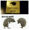 Się narobiło