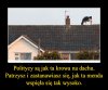 Był ktoś  kto dał 