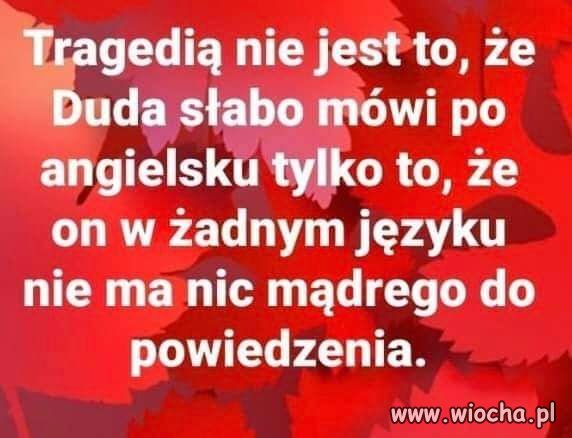 Za to podpisuje znakomicie