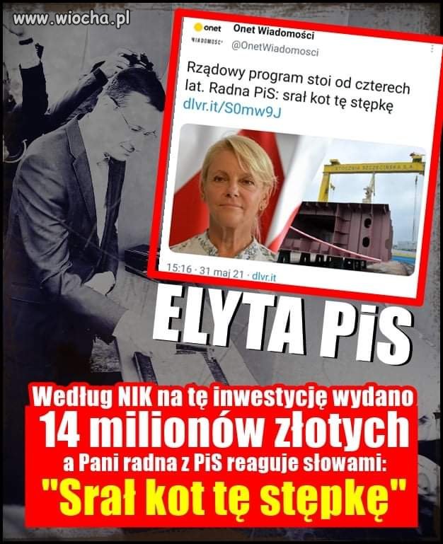Kot prezesa? 