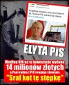 Kot prezesa? 