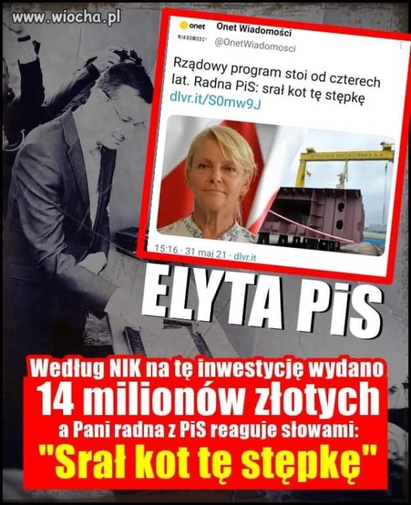 Kot prezesa? 