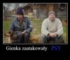 Atak psów na Gienka 