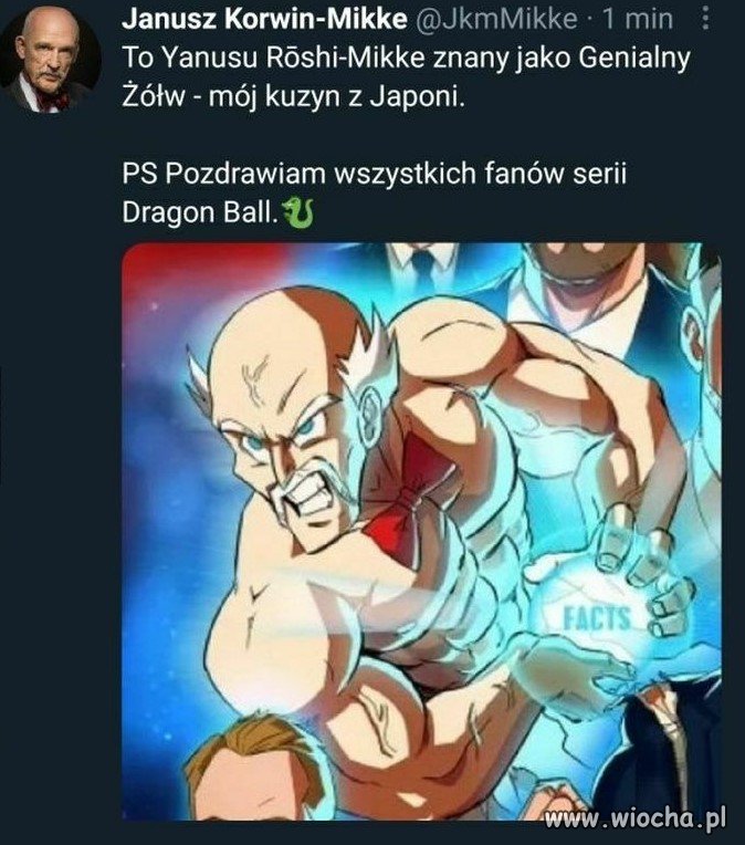 Taki japoński Korwin