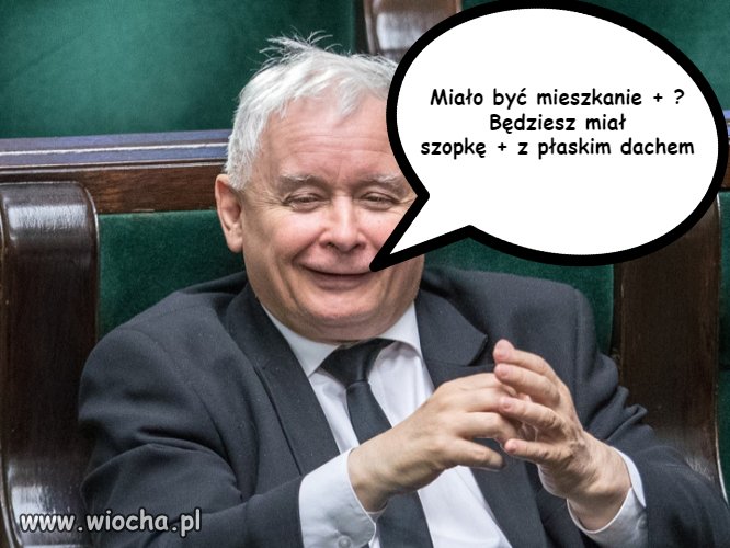 Ale wy jesteście naiwni 