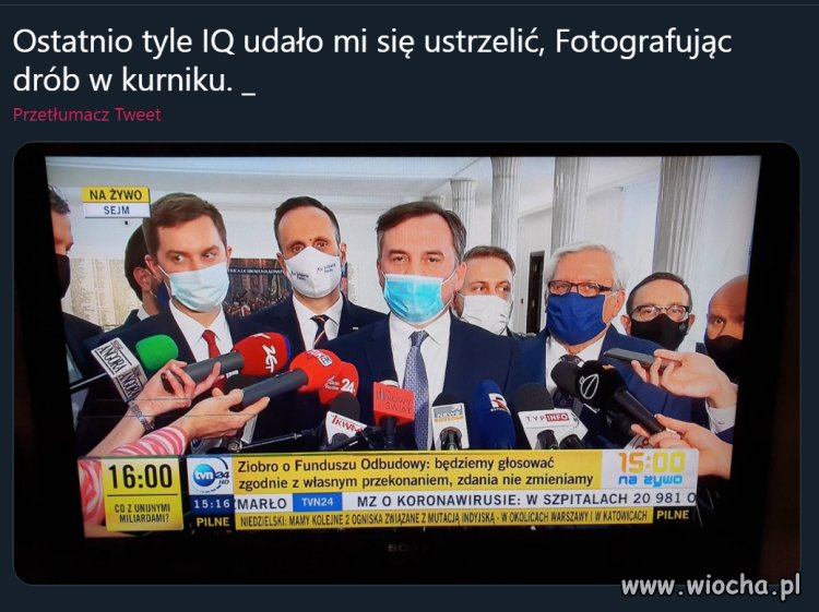 IQ na zdjęciu