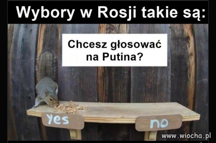 Wybory 