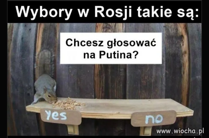 Wybory 