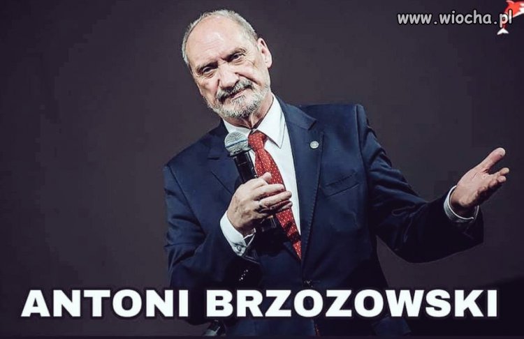 Polacy nie mają szczęścia do brzozy