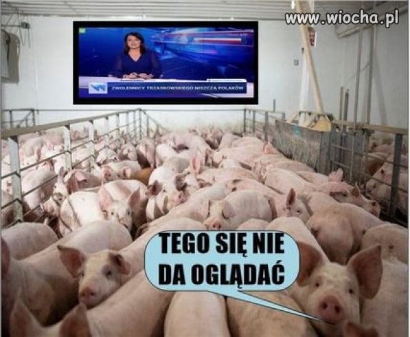 To co to musi być