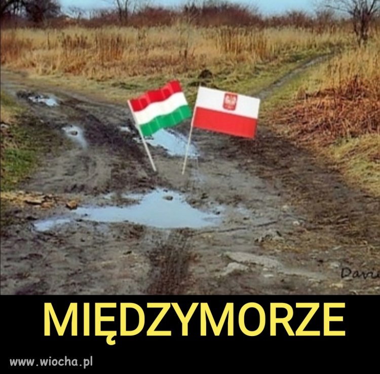 INTERMARIUM 