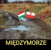 INTERMARIUM 