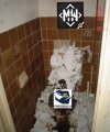 To tu! Tu wylęgają się bezmózgowce 