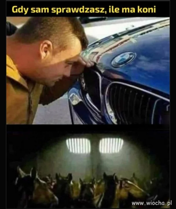 Kiedy sam sprawdzasz