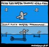 Dziś flota.