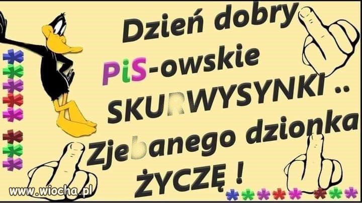 Z cyklu 'znalezione w necie'