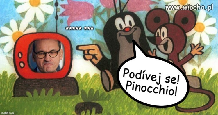 Krecik