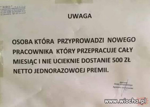 Nowy ład?