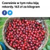 Średniej wielkości czereśnia z pestką to ok. 5g.