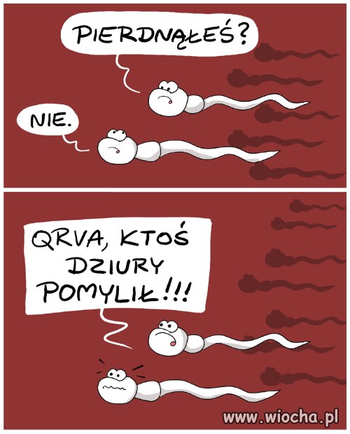Nie tu