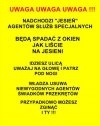 Uważaj Polaku jak chodzisz...