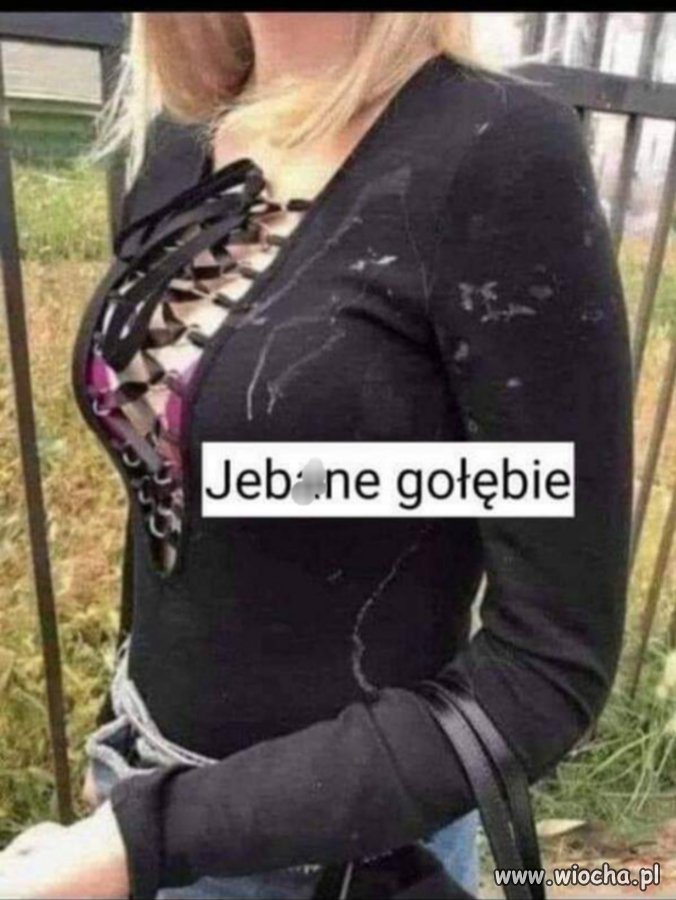 Gdzie ten gołomP