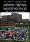 W kategorii skuteczność międzynarodowa