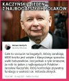 Biedaczysko 