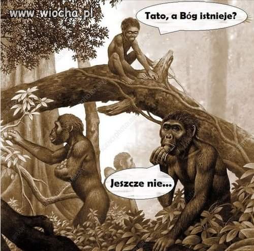 Słowo na niedzielę