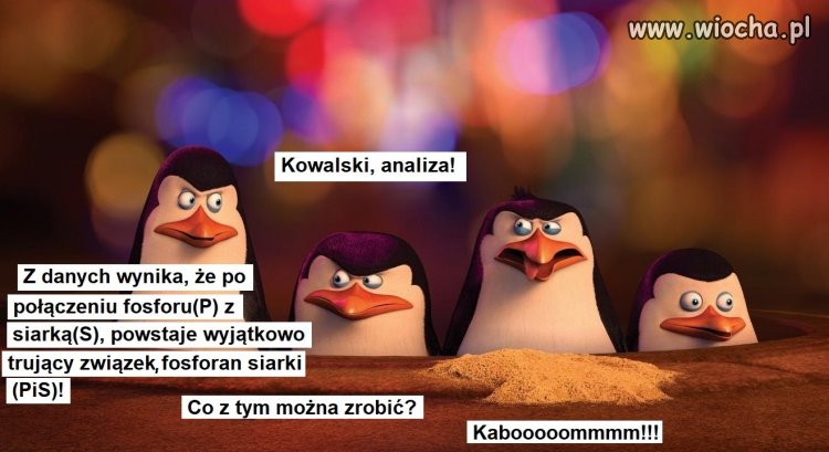 Tytuł zbędny