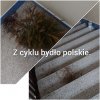Polska kulturalna.