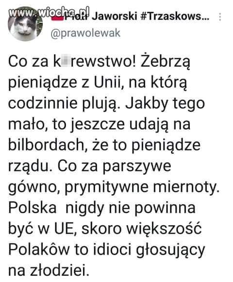 Pis i jego zakłamanie