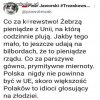 Pis i jego zakłamanie