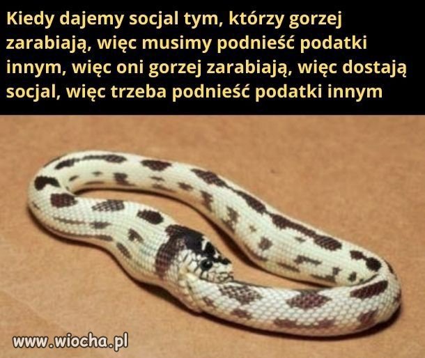 Cała prawda