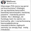Ze zdwojoną siłą