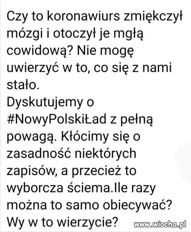 Pandemia głupoty!