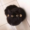 Kitku