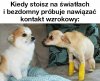 Coś w tym jest ;)