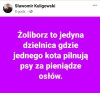 Tak to wygląda 